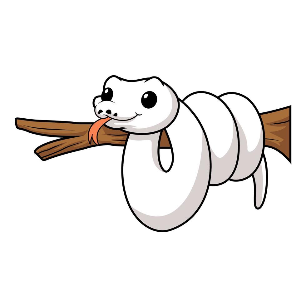 Cute white leucistic ball python snake cartoon on tree branch vector