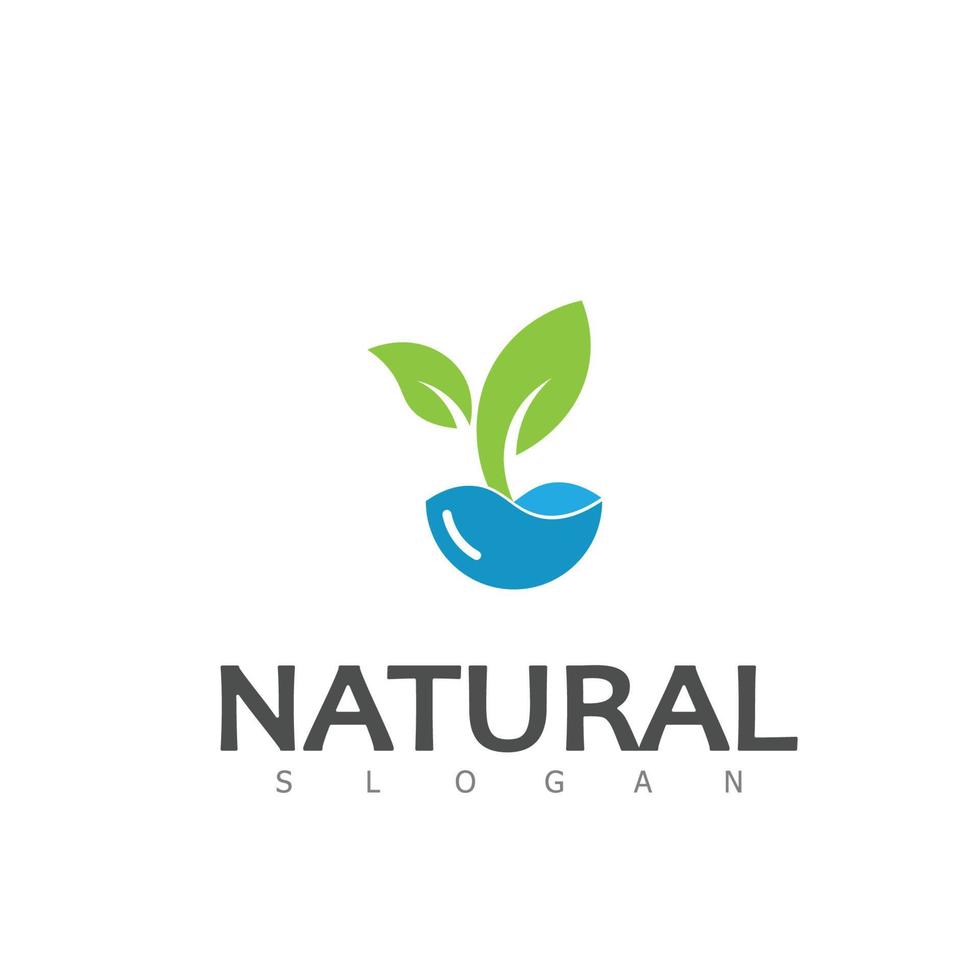 natural hoja naturaleza eco logo diseño modelo vector