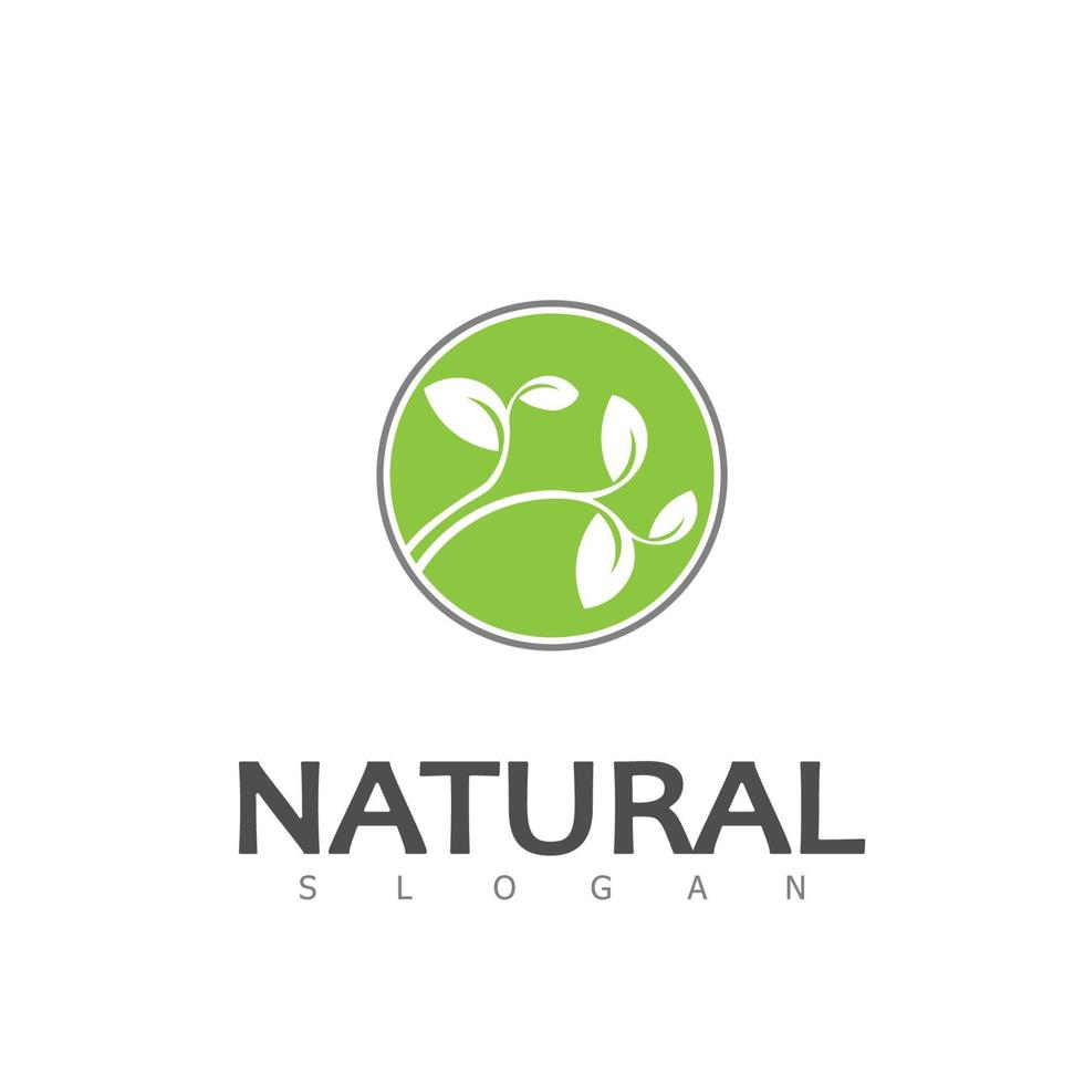 natural hoja naturaleza eco logo diseño modelo vector