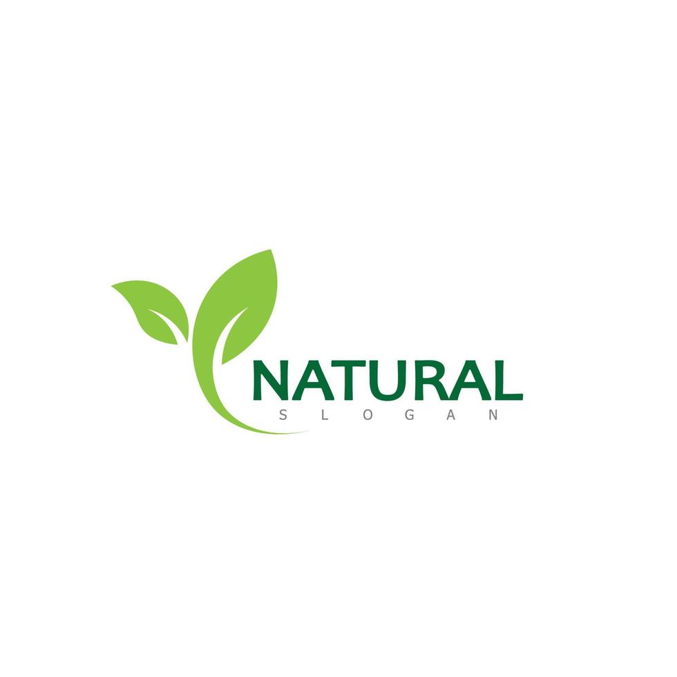 natural hoja naturaleza eco logo diseño modelo vector