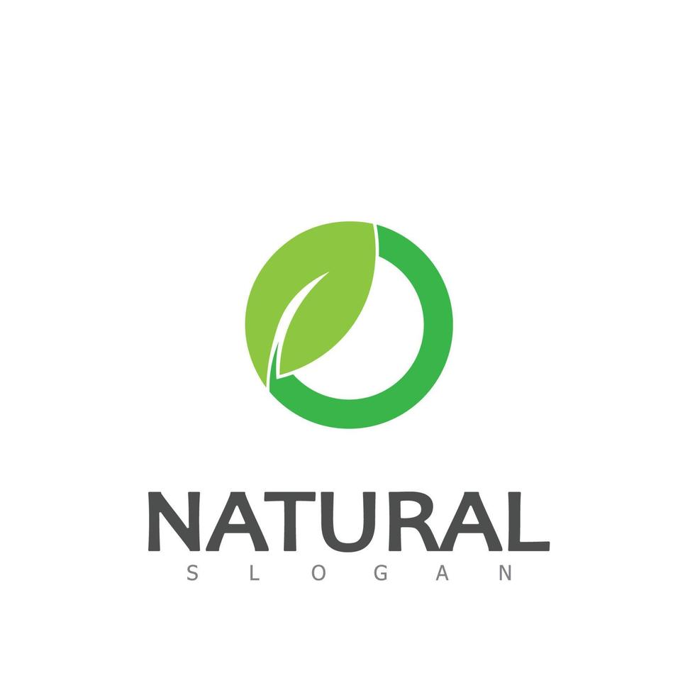 Natural Leaf nature eco Logo Design Template vector
