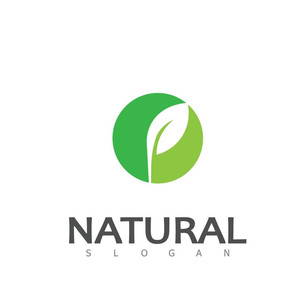 natural hoja naturaleza eco logo diseño modelo vector