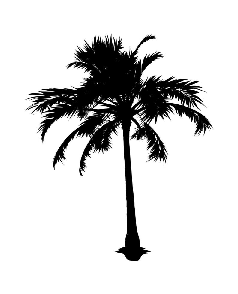 negro palma silueta. vector ilustración