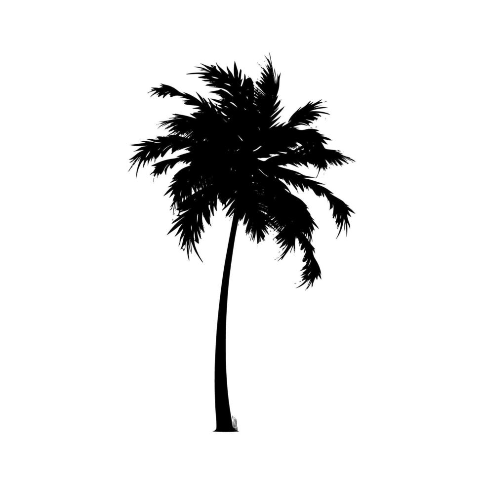 Black Palm Silhouette. Vector Illustration
