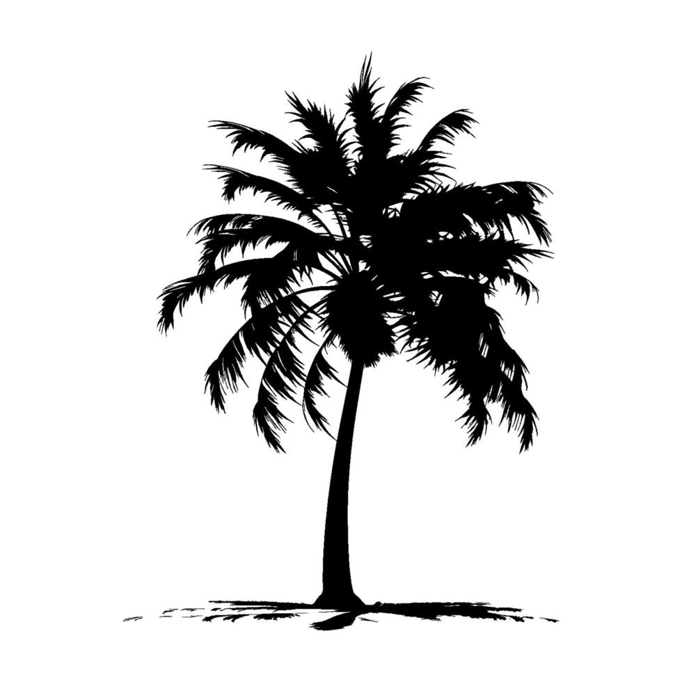 Black Palm Silhouette. Vector Illustration