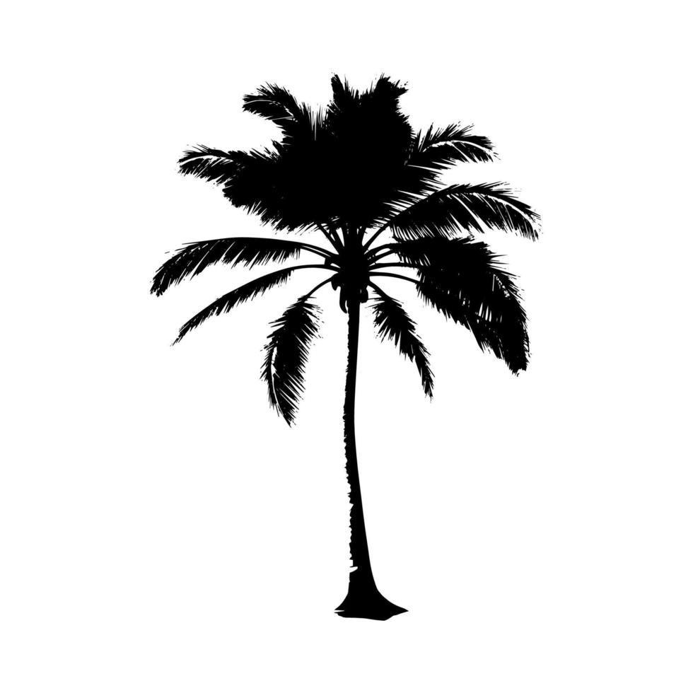 Black Palm Silhouette. Vector Illustration