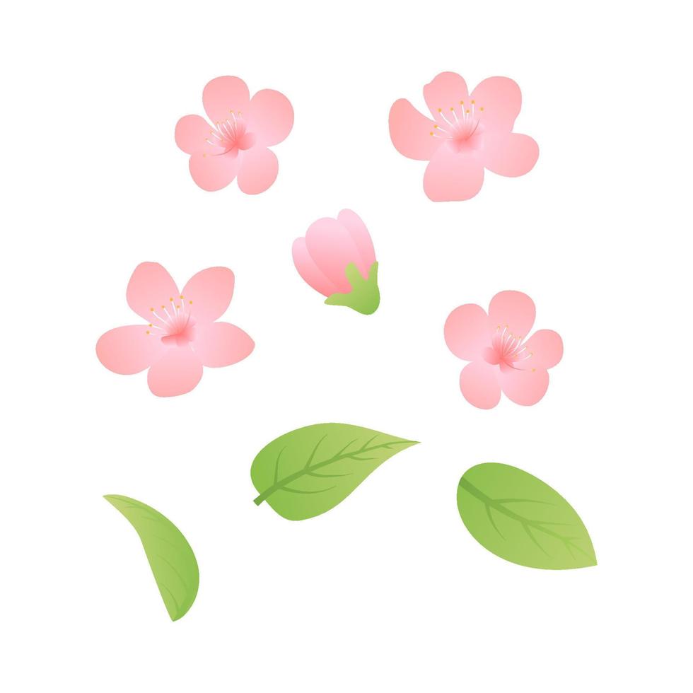 Set of Spring Blossom Flowers Background - Seamless Floral Shabby Chic Patterns - in vector. Clipart of Spring background with blossoming vector