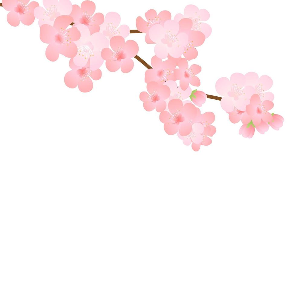 Vector illustration of bloom branch with pink flowers, buds, petals flying. Realistic design isolated transparent background. Blooming tree twigs set, blossom collection.