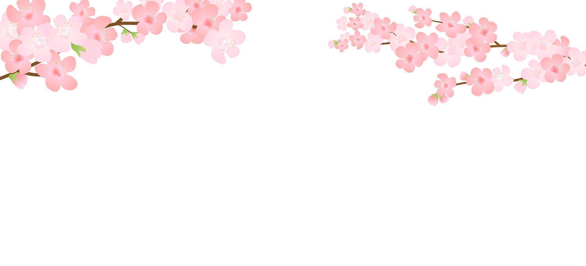 Vector illustration of bloom branch with pink flowers, buds, petals flying. Realistic design isolated transparent background. Blooming tree twigs set, blossom collection.