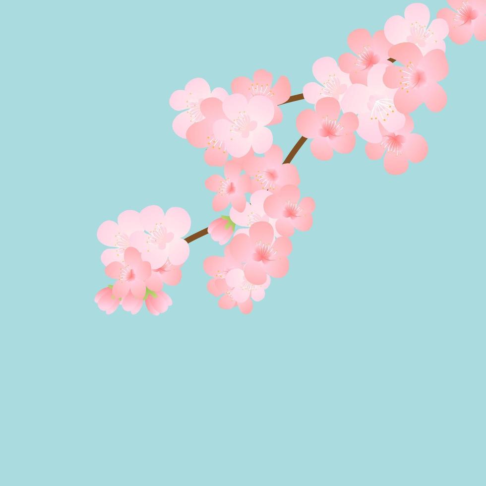 Horizontal template with cherry blossom, spring flowers, falling petals. Retro vector illustration. Place for your text. Design for invitation, banner, card, poster, flyer.