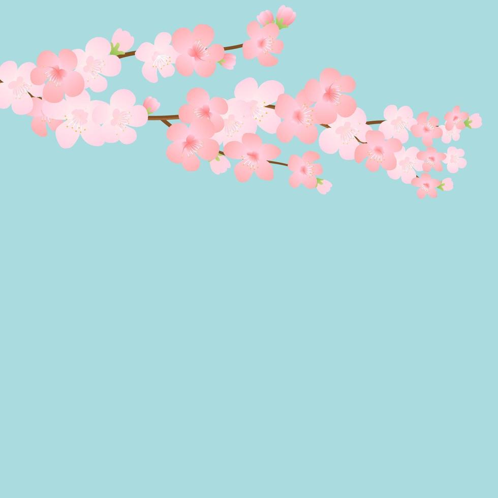 Horizontal template with cherry blossom, spring flowers, falling petals. Retro vector illustration. Place for your text. Design for invitation, banner, card, poster, flyer.