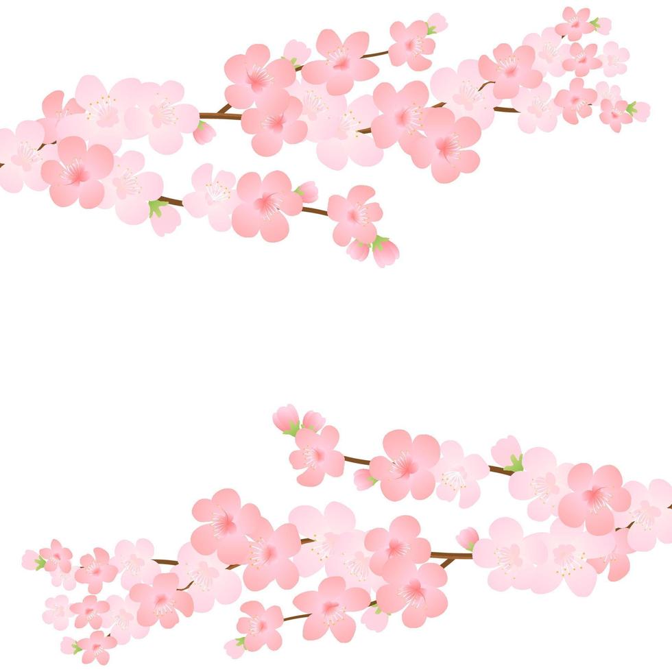 vector ilustración de floración rama con rosado flores, brotes, pétalos volador. realista diseño aislado transparente antecedentes. floreciente árbol leña menuda colocar, florecer recopilación.