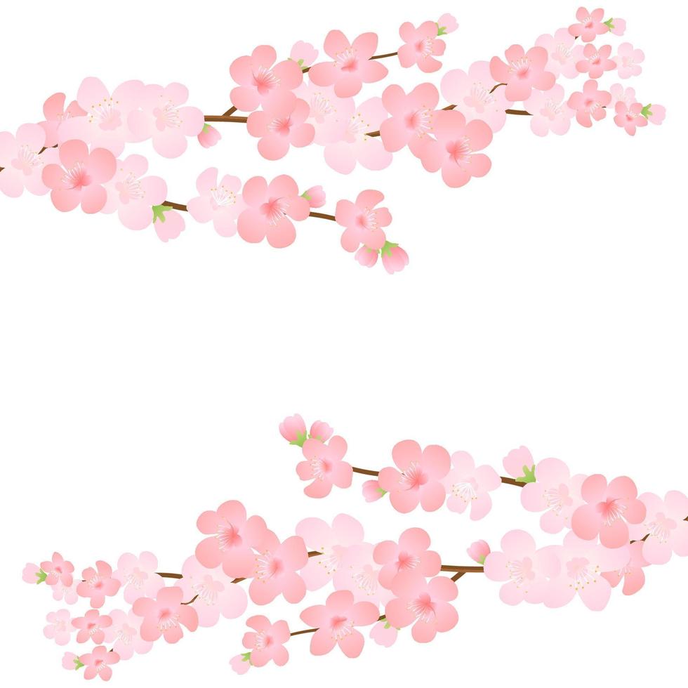 Vector illustration of bloom branch with pink flowers, buds, petals flying. Realistic design isolated transparent background. Blooming tree twigs set, blossom collection.