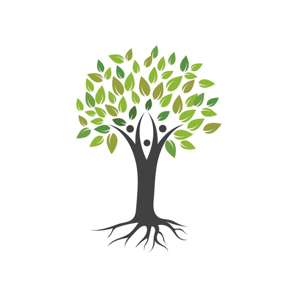 family tree logo template vector