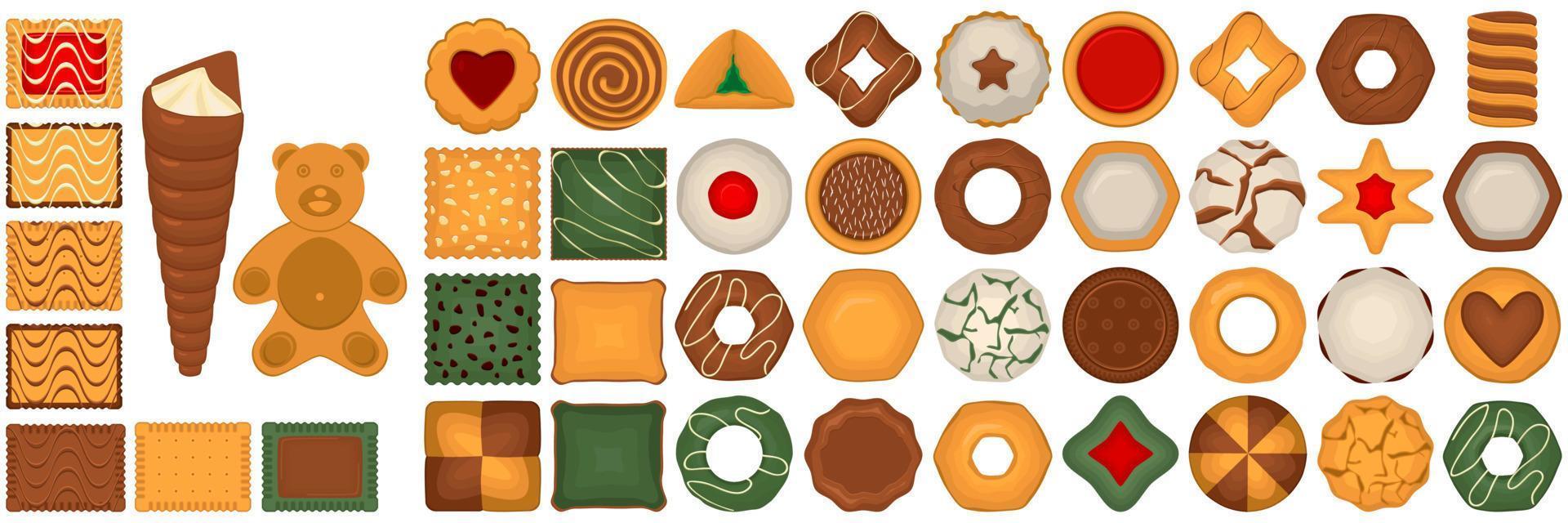 Big set homemade cookie different taste in pastry biscuit vector