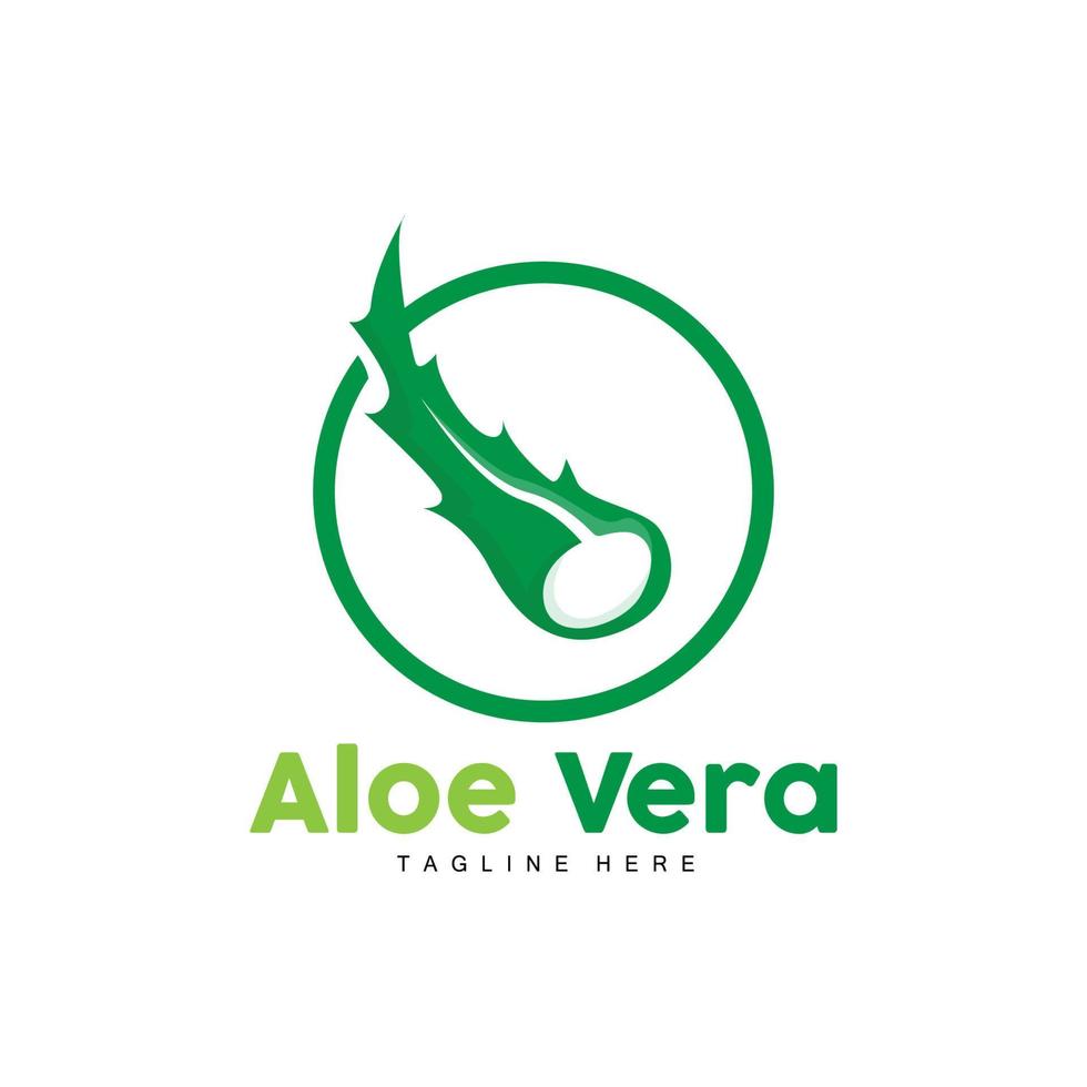 Aloe Vera Logo, Green Plant Design, Traditional Medicine And Skin Care Plant Vector, Hair Care, Symbol Icon Illustration vector