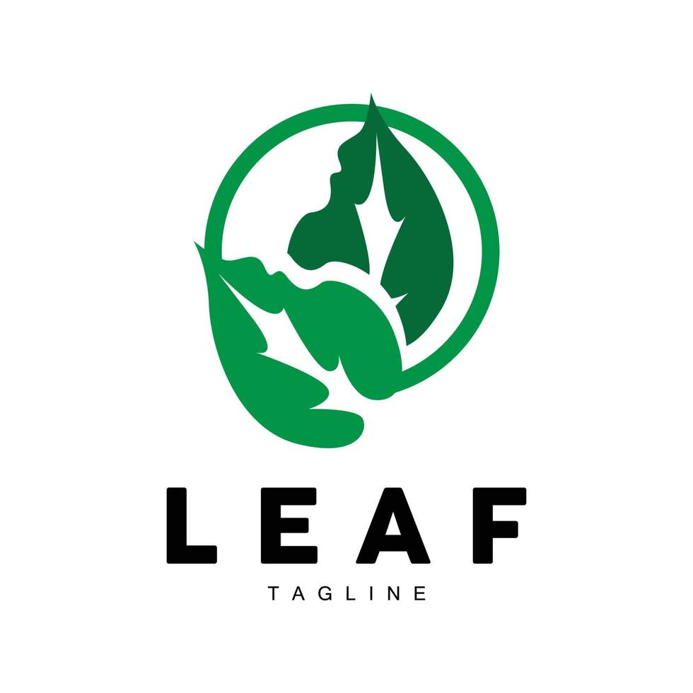 Green Leaf Logo, Ecology Natural Plant Vector, Nature Design, Illustration Template Icon vector