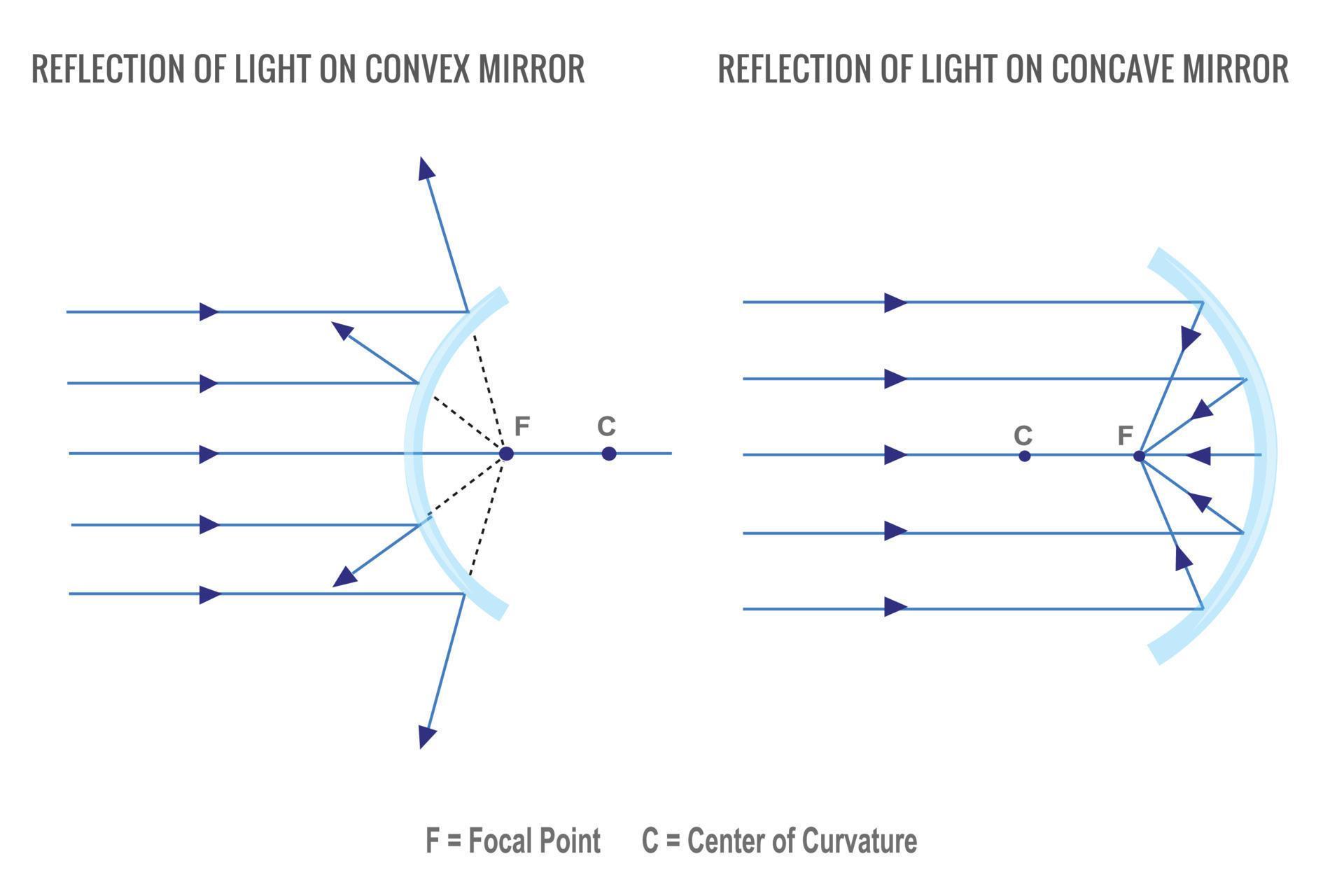 Reflection of light on concave mirror and Convex mirror 21669327 Vector