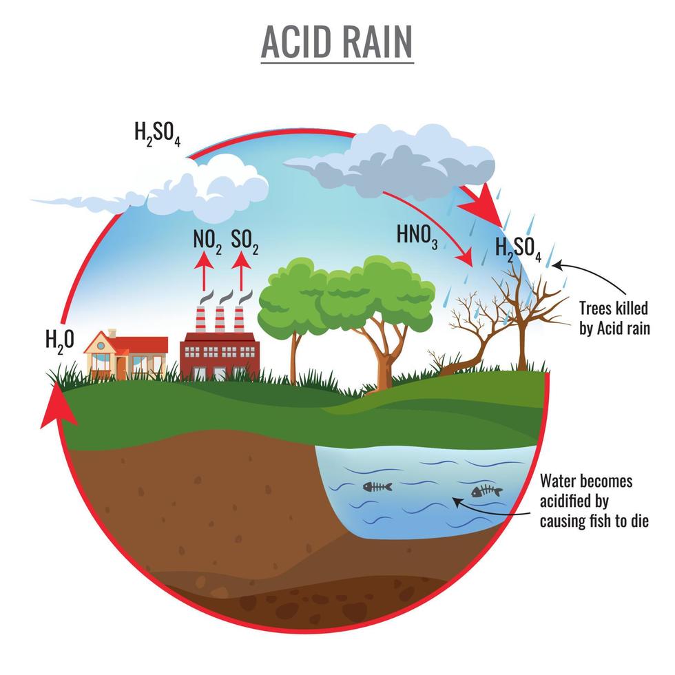 ácido lluvia ciclo en naturaleza vector ilustración