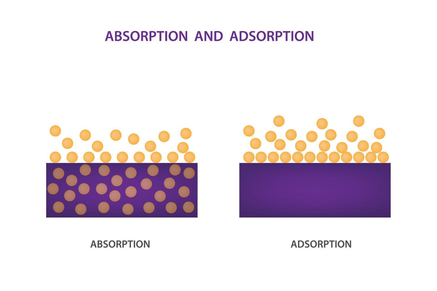 difference between adsorption and absorption vector illustration