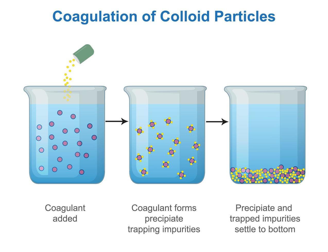 Coagulation Of Colloid Particles Vector Illustration 21669350 Vector coagulation-of-colloid-particles-vector-illustration-21669350-vector