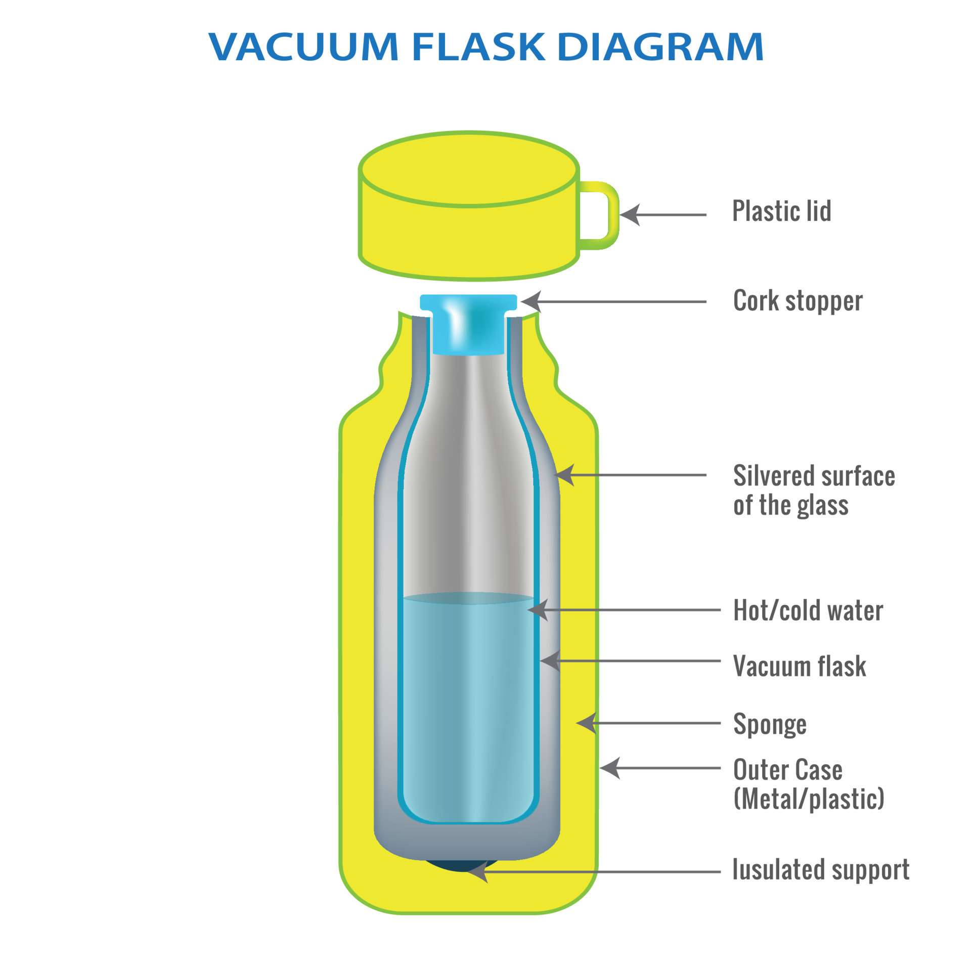 vacuum flask or Thermo flask diagram vector image 21669358 Vector Art at  Vecteezy