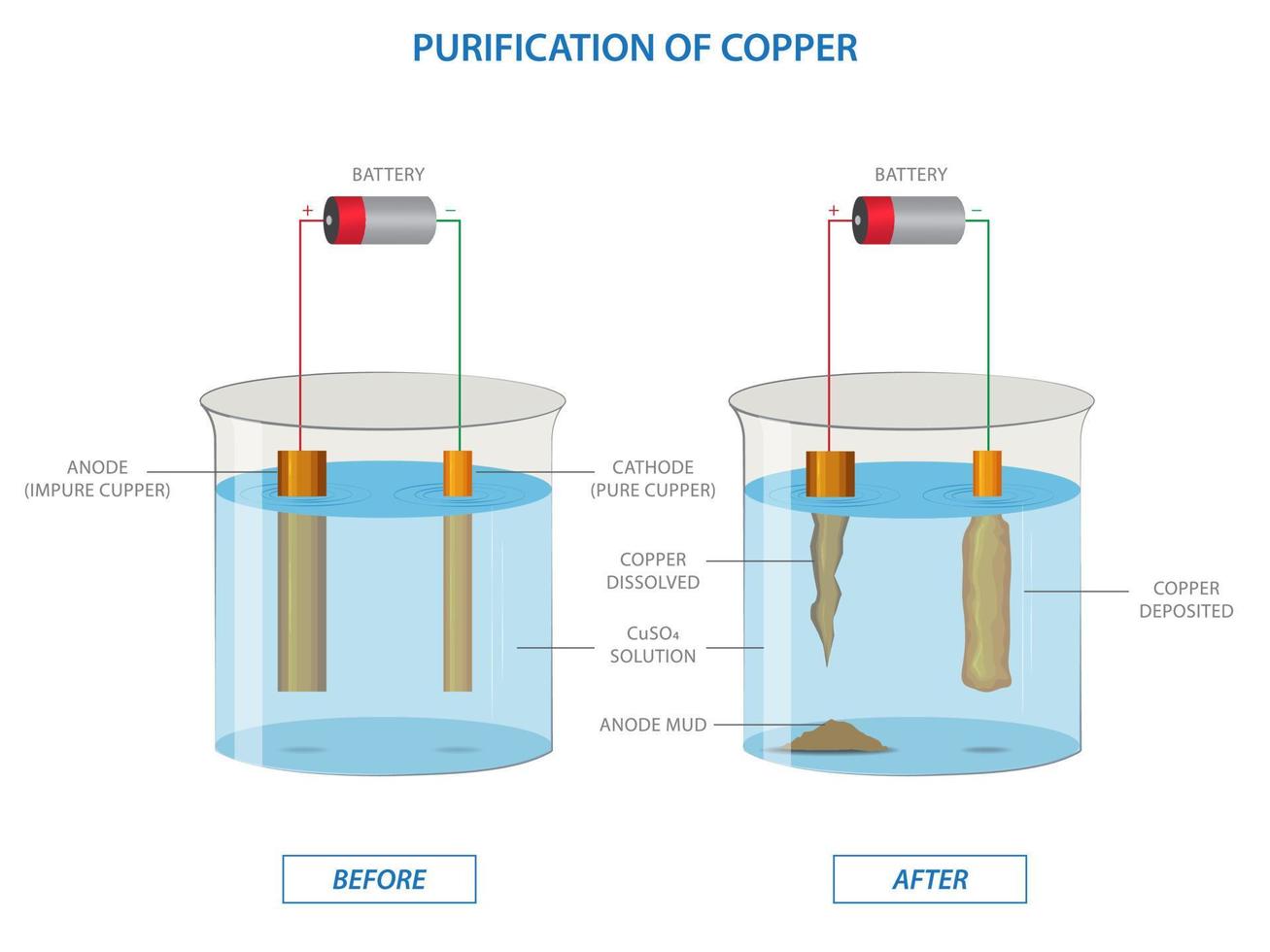 electrólisis de cobre sulfato solución con impuro cobre ánodo y puro cobre cátodo vector