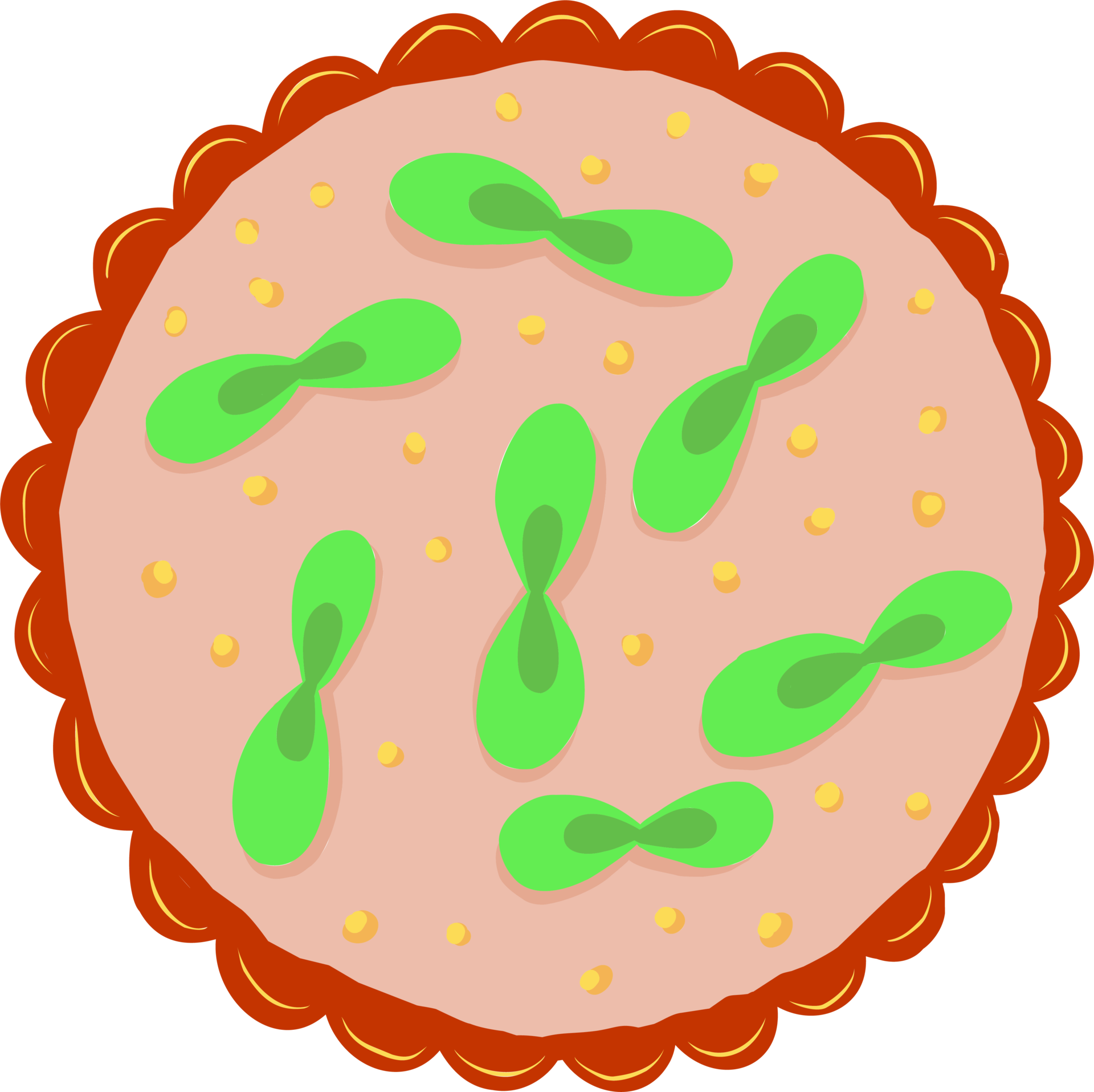 sprouts in a round container.home gardening.life wake up.spring