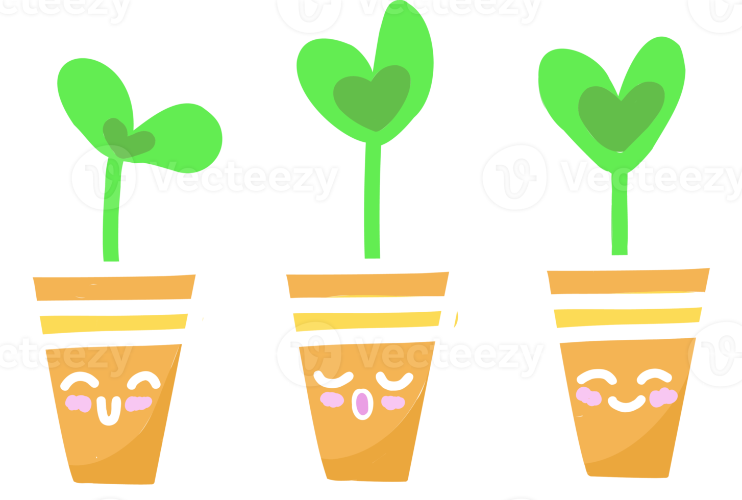 home gardening. seed germination. sprouts in a cup.semidol leaves. png