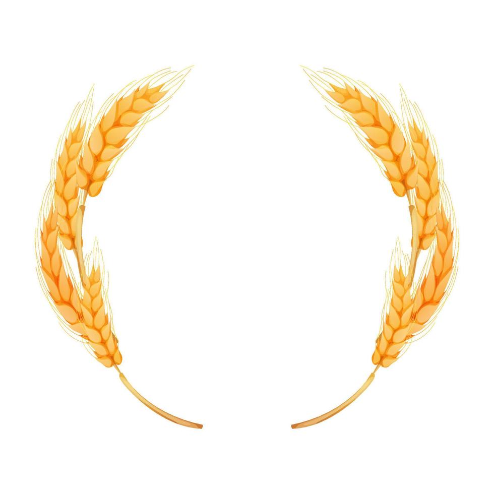 Wreath from spikelet, golden color wheat round frame in cartoon style isolated on white background vector