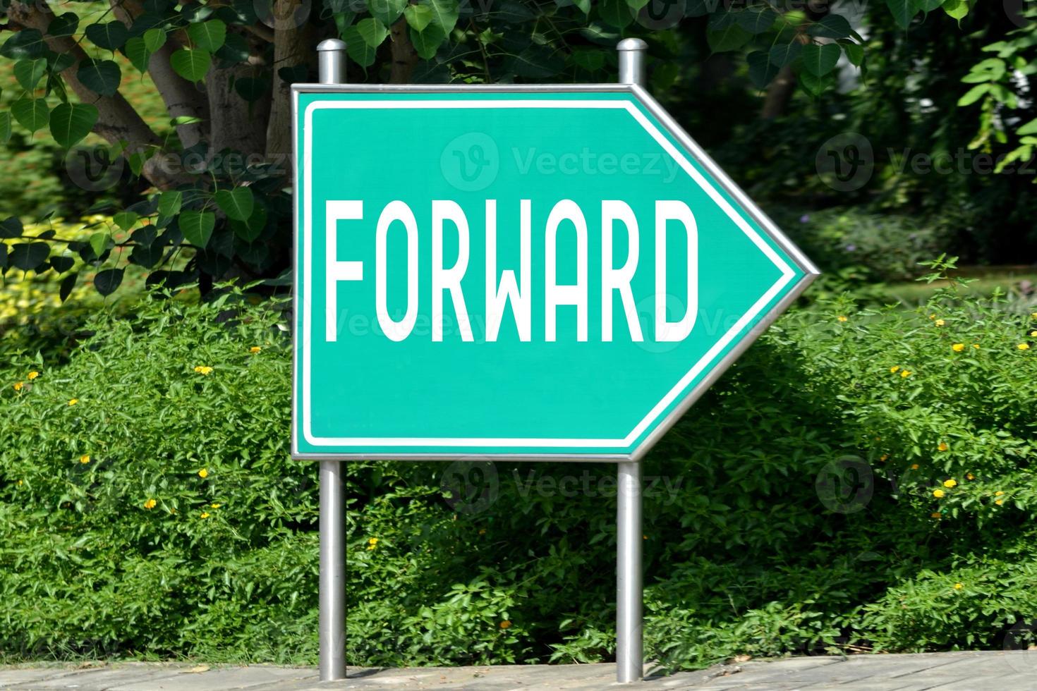 Forward - Green Arrow Signpost and Bush in Background photo