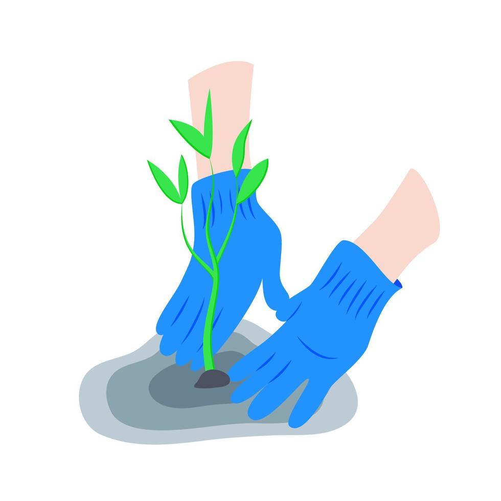 Hands in gardening gloves are planting sprout, sprig, shoot, tree, busch. Garden work, seedling, save the planet concept. Vector flat illustration.