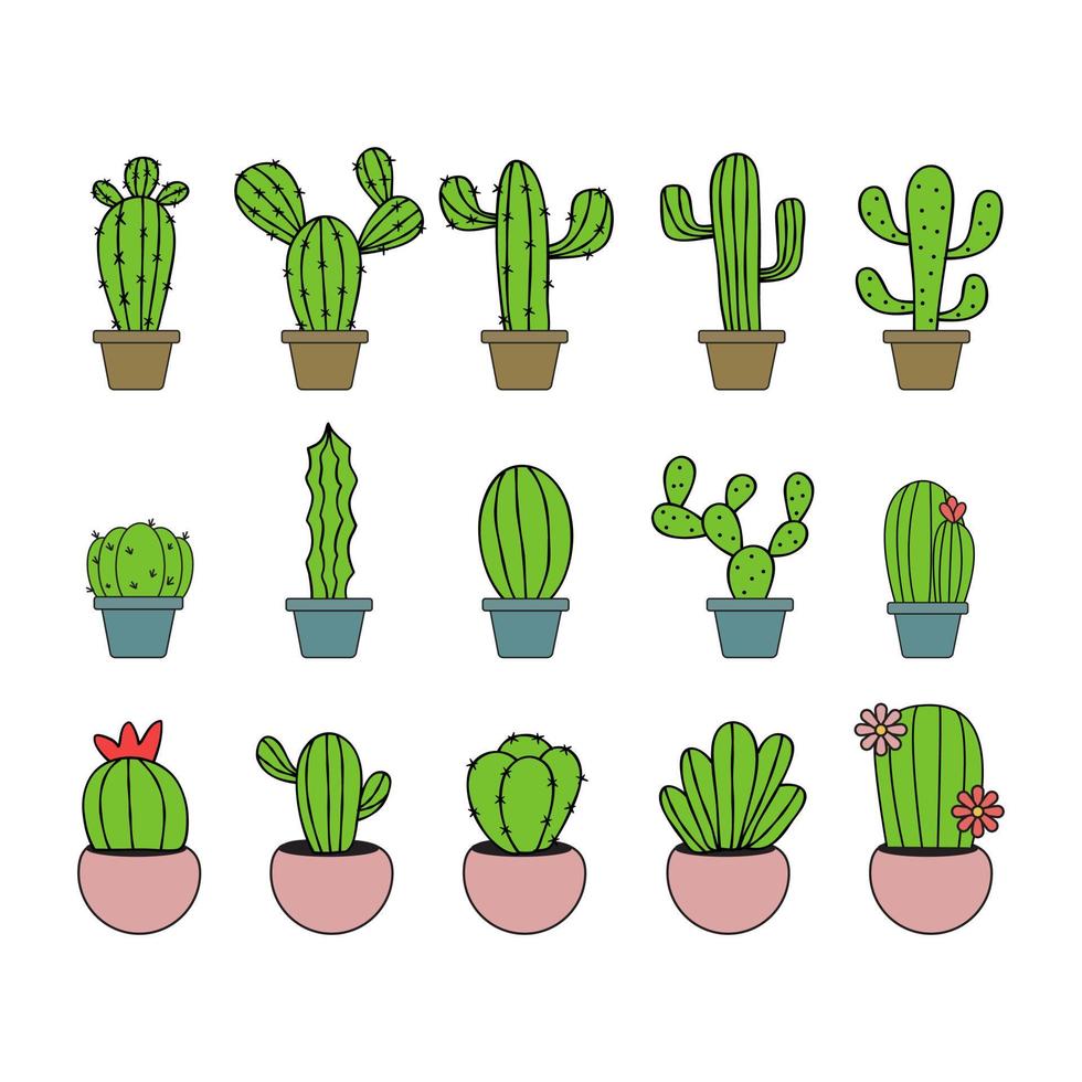 Cactus Plant Illustration Vector Set. Home plants cactus in pots and with flowers