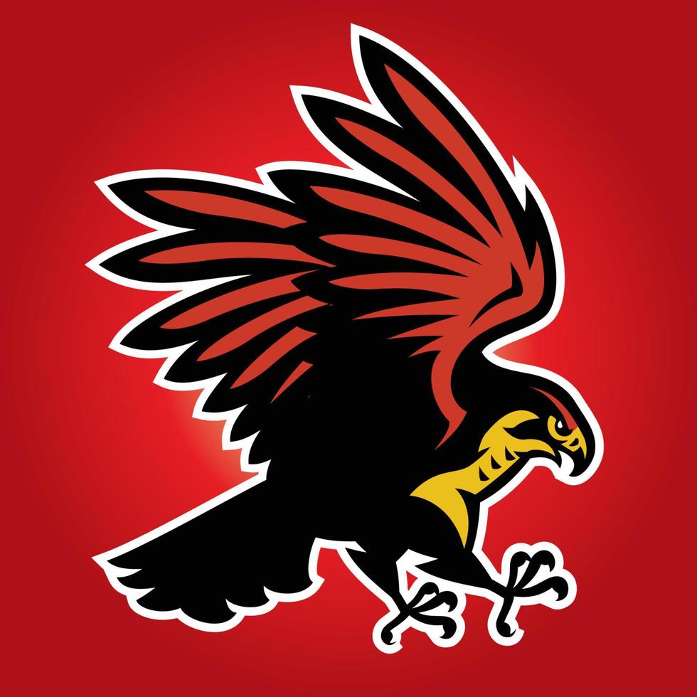 hawk bird mascot vector