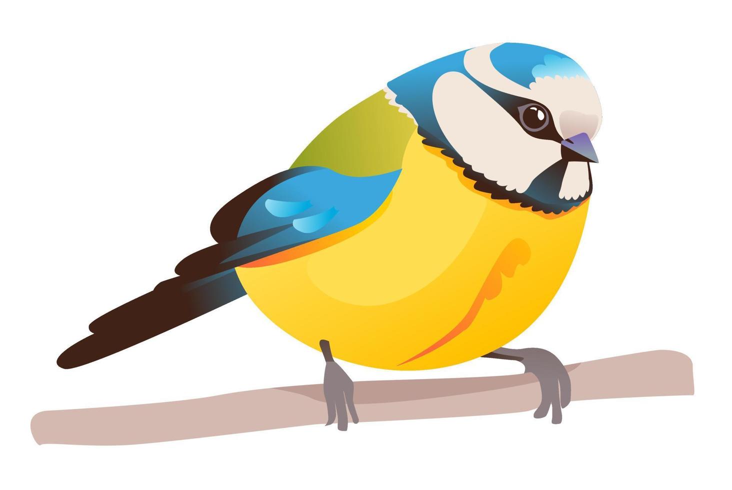 paro genial teta es un paseriforme pájaro. un brillante pájaro es sentado en un rama. dibujos animados vector ilustración en un blanco antecedentes.