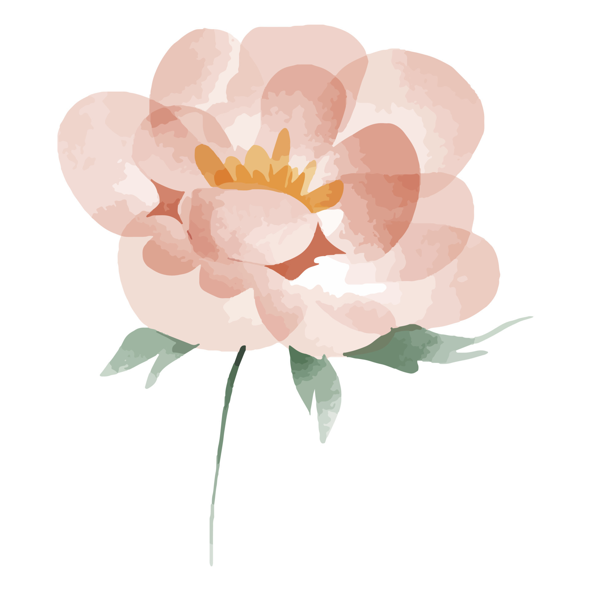 Watercolor Flower Blooming 21675234 Vector Art at Vecteezy