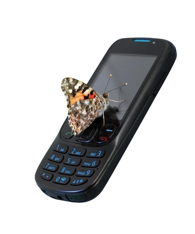 butterfly sitting on mobile phone against white background photo