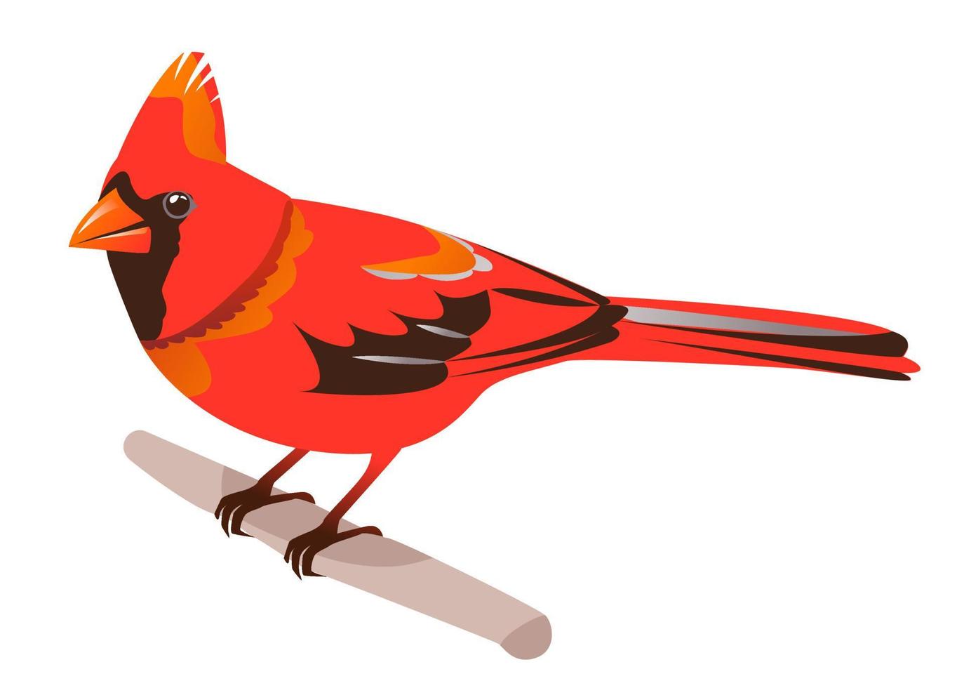 Northern Cardinal. A red bird is sitting on a branch. Cartoon vector illustration on a white background
