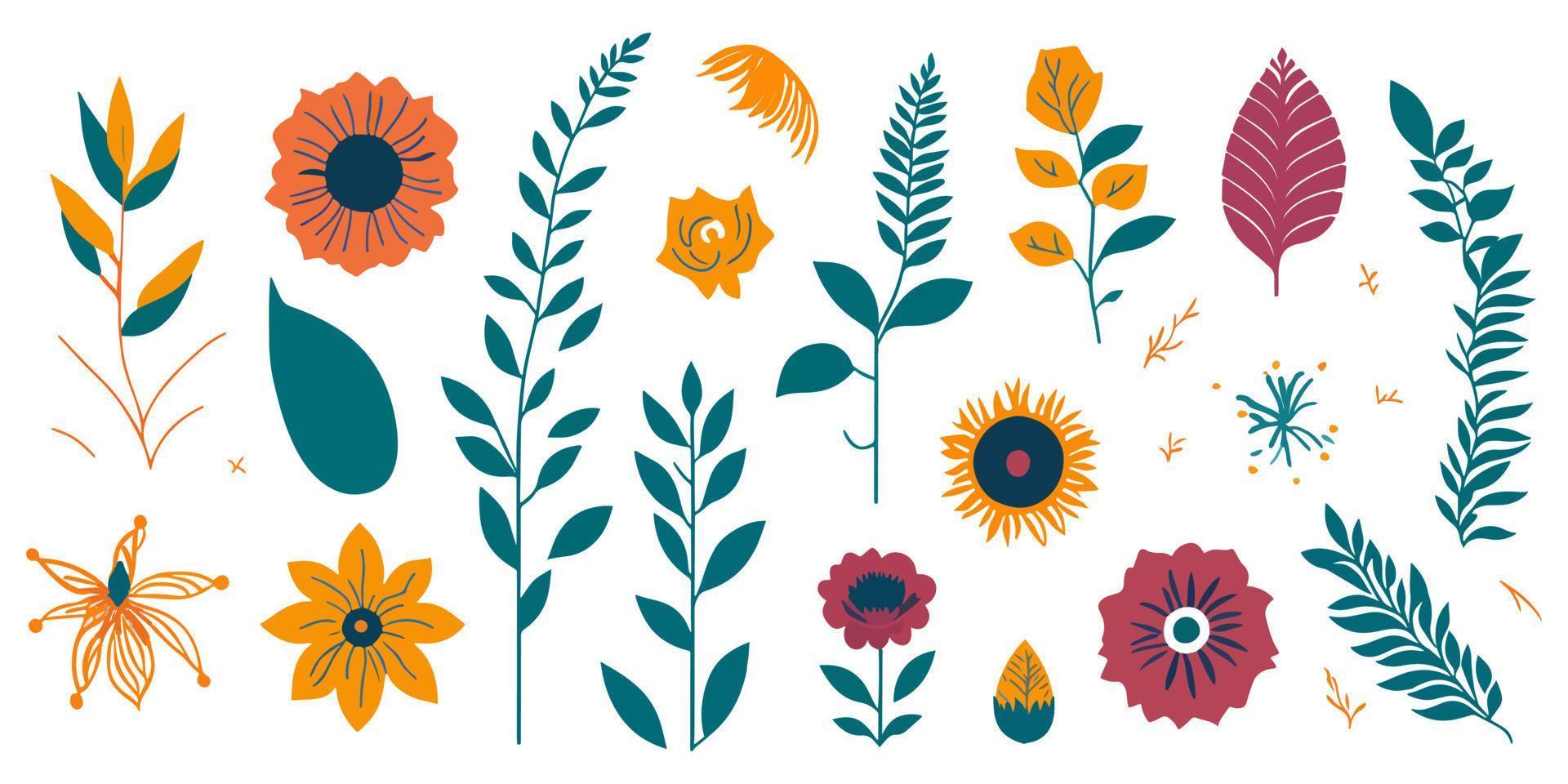 Botanical Isolated Illustrations. Nature-inspired Art for Plant Lovers vector