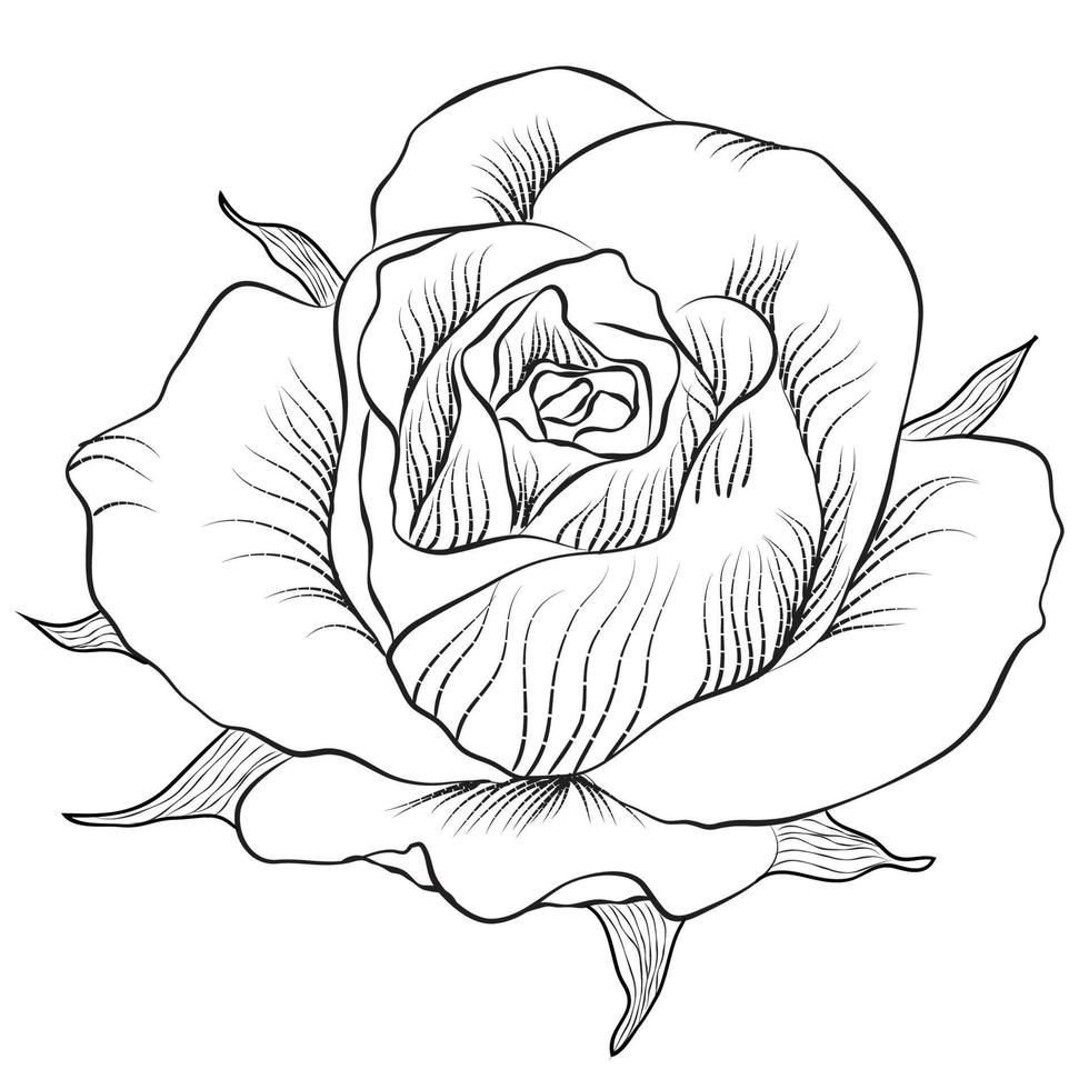 Free Vector line art and hand drawing flower art black and white flat ...