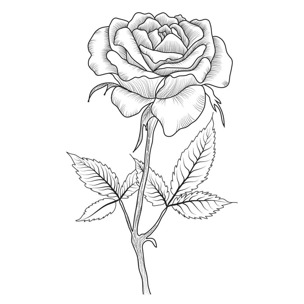 Free Vector line art and hand drawing flower art black and white flat design simple flower