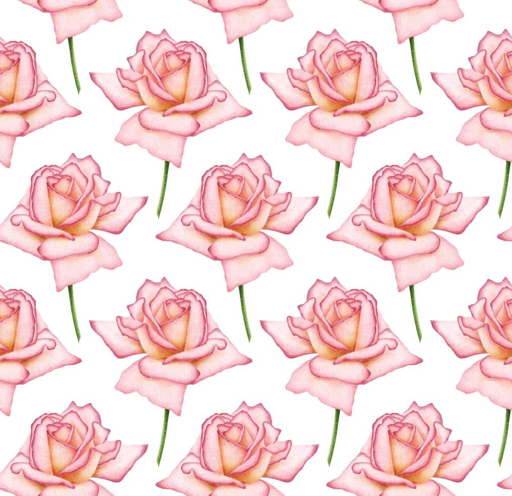 WHITE VECTOR SEAMLESS BACKGROUND WITH BLOOMING DIGITAL WATERCOLOR PINK ROSES