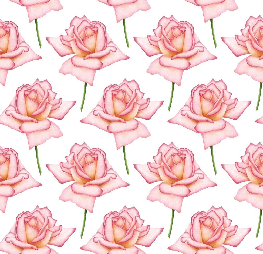 WHITE VECTOR SEAMLESS BACKGROUND WITH BLOOMING DIGITAL WATERCOLOR PINK ROSES