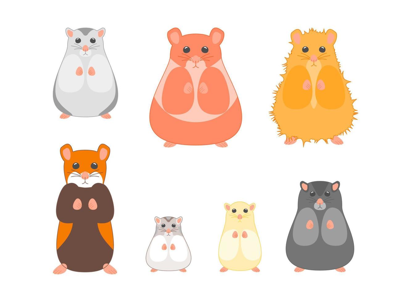 Cartoon Color Different Hamster Breeds Set. Vector