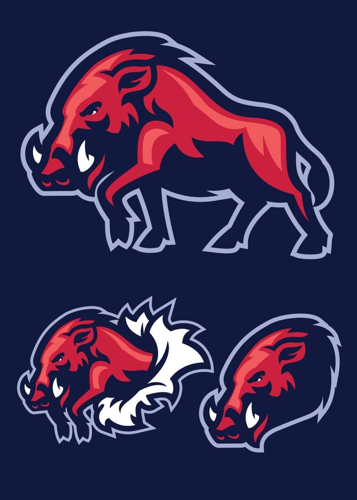 Wild hog mascot vector