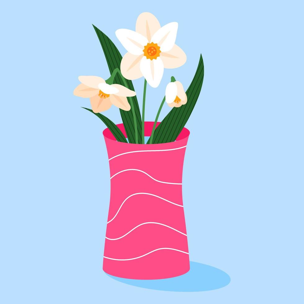 White daffodils with leaves in a pink vase. Spring flowers on a blue background. vector