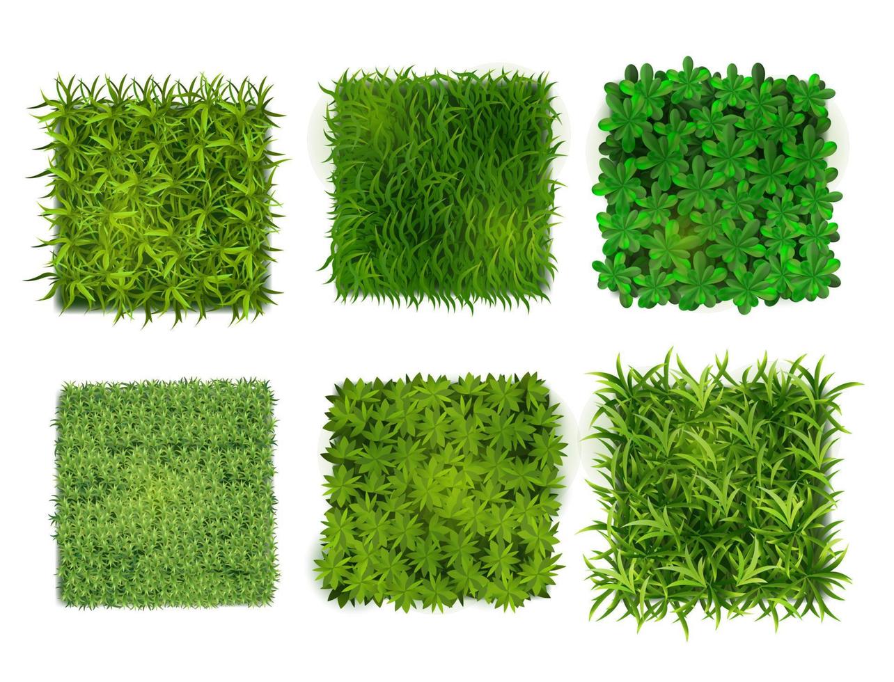 Realistic Detailed 3d Green Ground Cover Plants Set. Vector