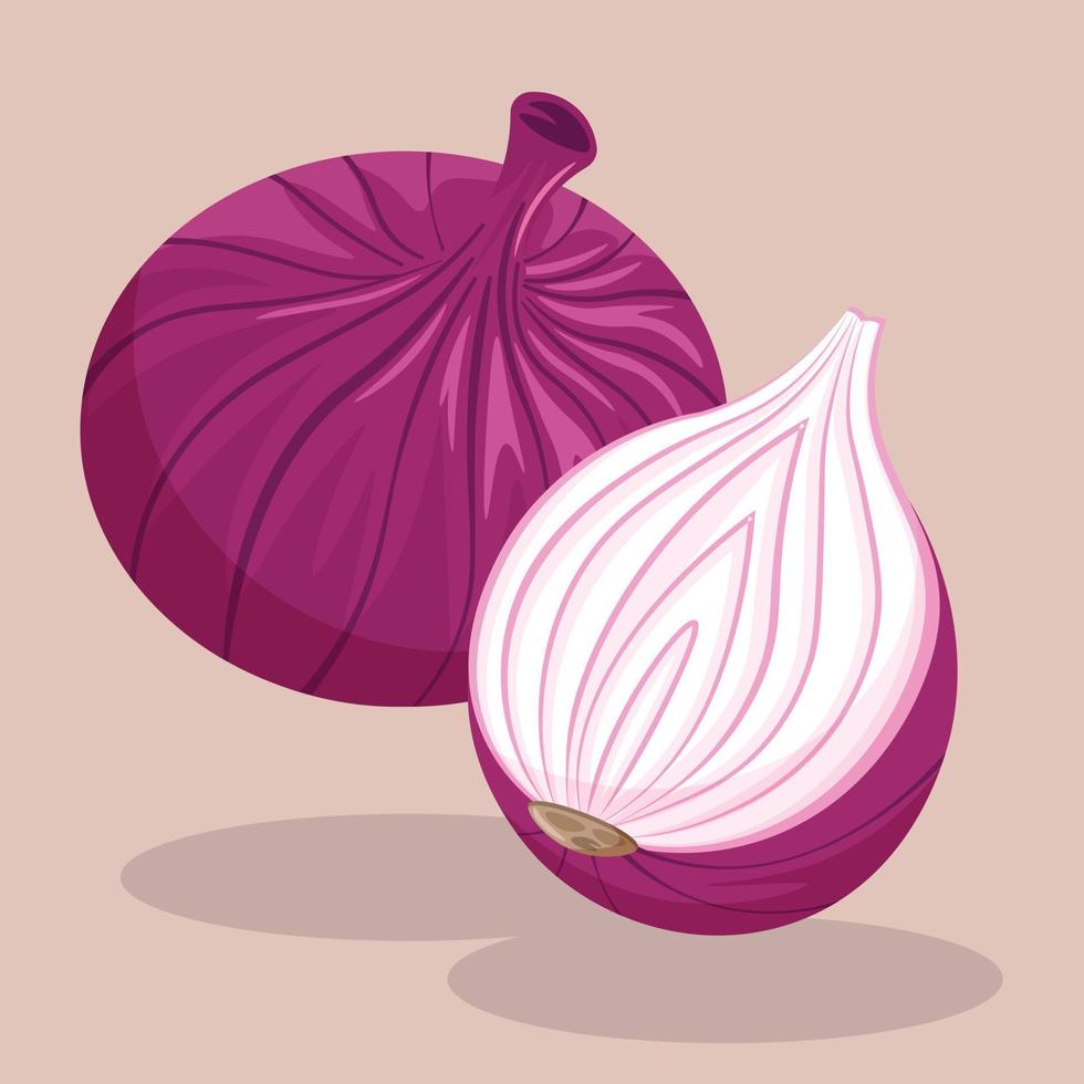 Red Onion Vector Illustration. Half Sliced Purple Red Onion. Flavor Vegetable Ingredient
