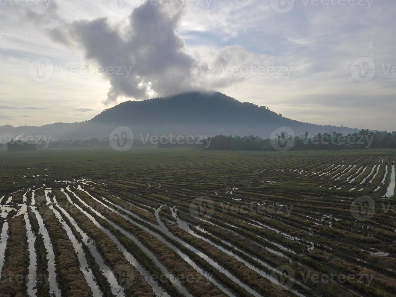 Aerial view paddy field after harvested photo