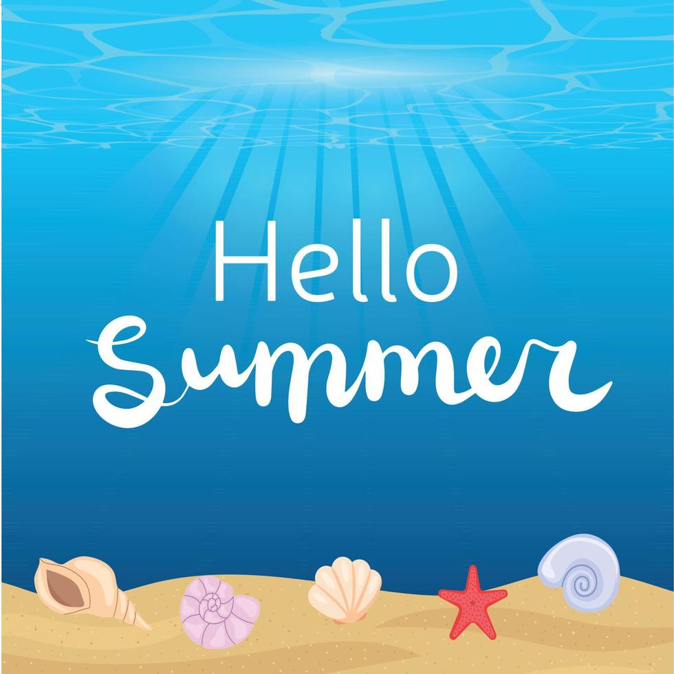Bottom ocean background with shells and words hello summer. Hello summer square banner. vector